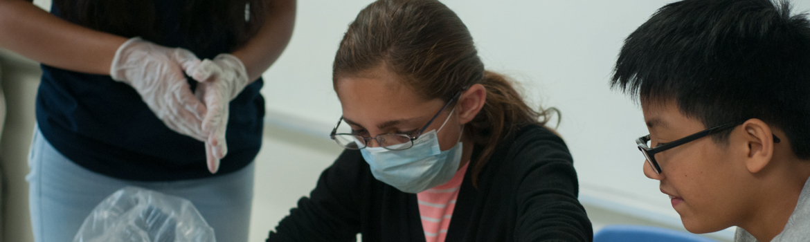 Biomedical Engineering