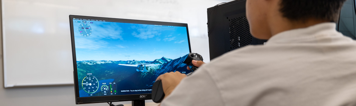 Flight Sims
